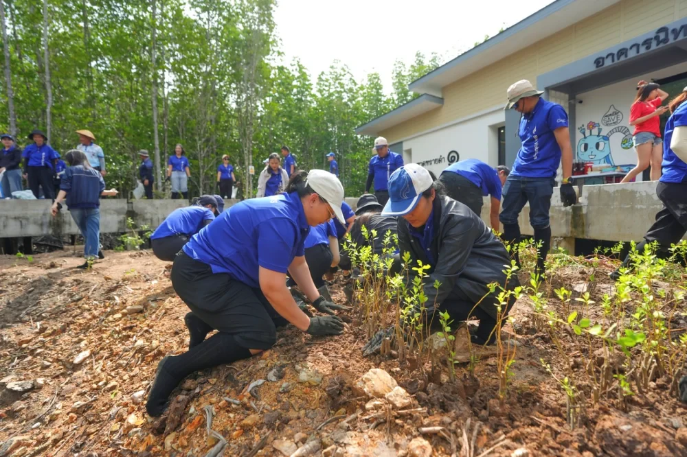บางกอกแอร์เวย์ส สานต่อกิจกรรม “รักษ์โลก ร่วมปลูกป่าชายเลน” ปีที่ 6 ร่วมฟื้นฟูระบบนิเวศชายฝั่ง ณ จังหวัดตราด